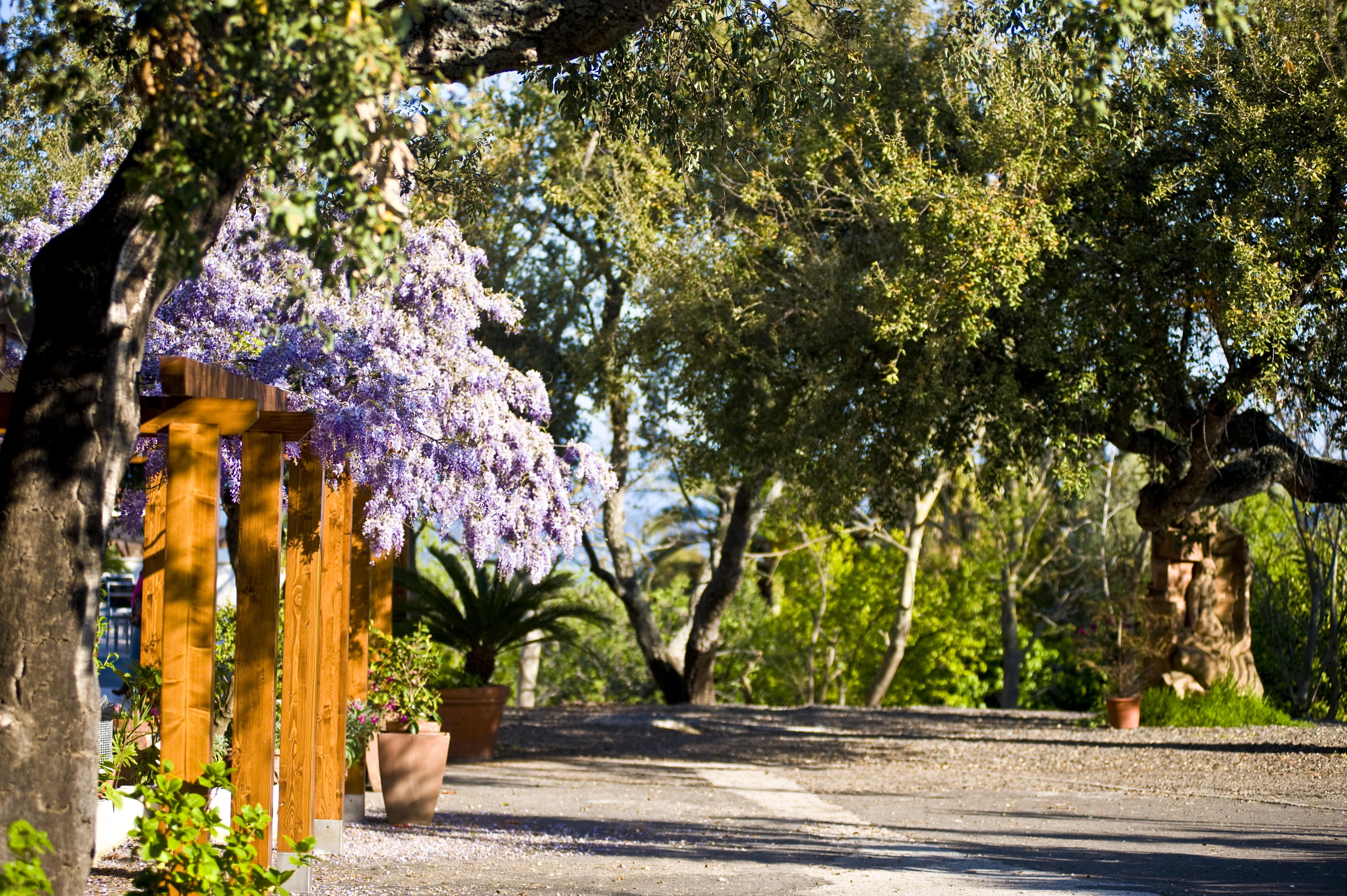 Hotel Il Querceto Dorgali Εξωτερικό φωτογραφία